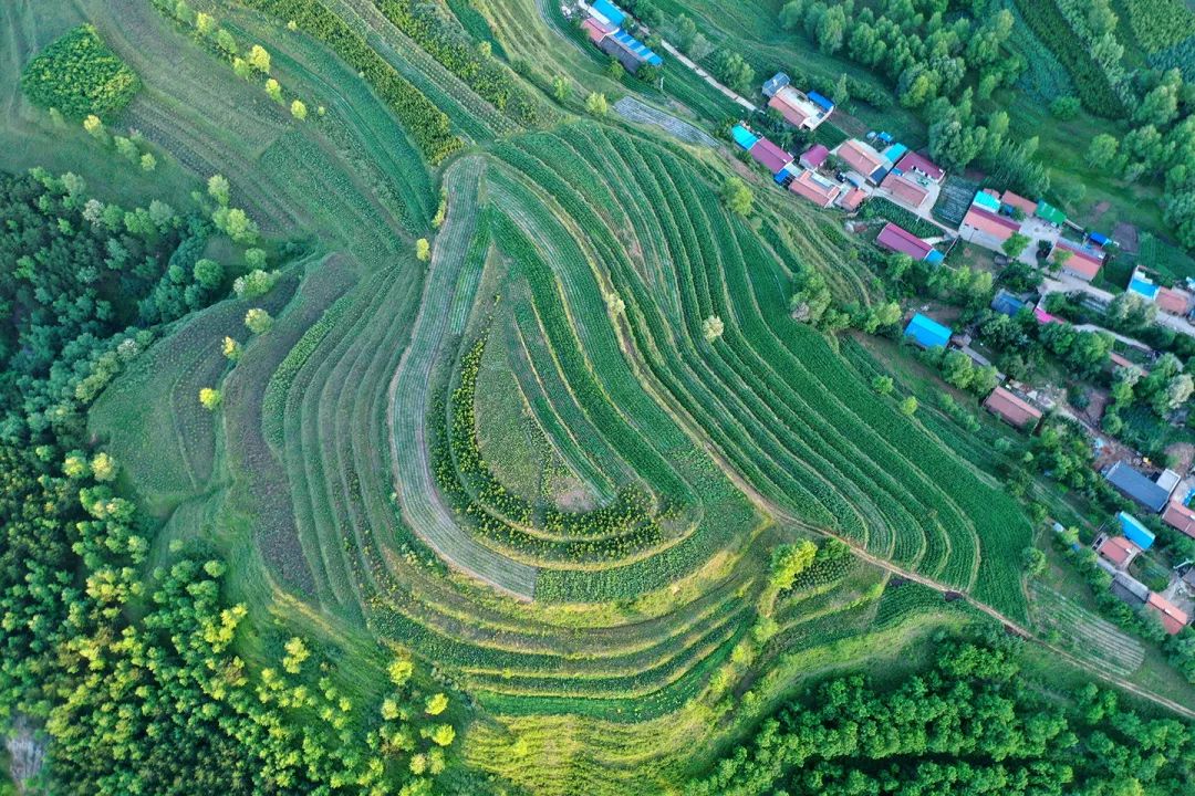 生態(tài)系統(tǒng)健康和管理——加強生態(tài)技術(shù)和工程管理，促進生態(tài)系統(tǒng)健康發(fā)展