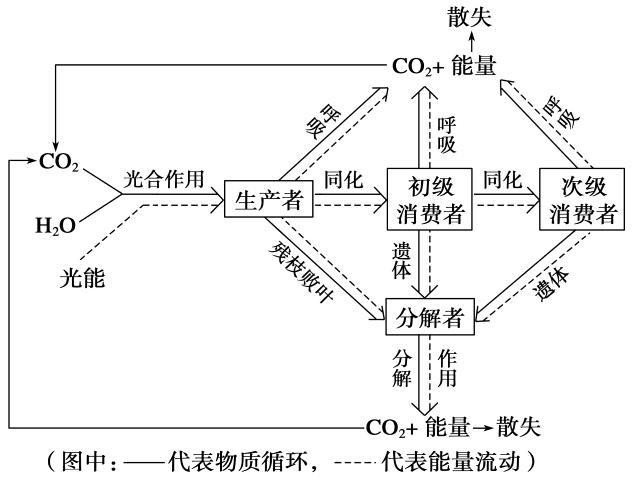 生態(tài)系統(tǒng)的物質(zhì)循環(huán)——物質(zhì)循環(huán)的主要特點